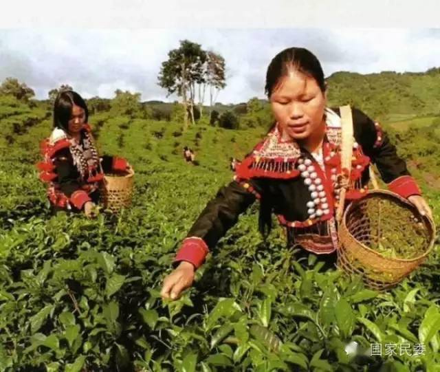 中缅边境德昂族村寨“枝叶繁茂”